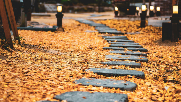Stone stepping stones leading through a path covered in golden autumn leaves at dusk