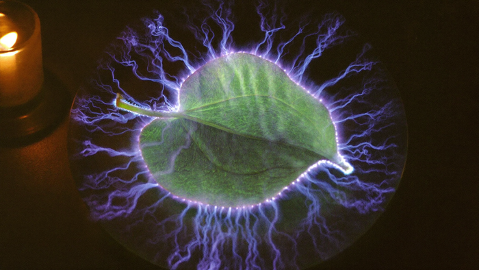 Green leaf on a round glass plate ringed by violet branching corona discharge filaments, a candle glowing at the left edge
