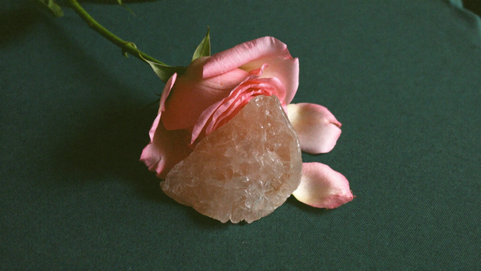 A blush pink garden rose lying on dark green linen with a raw rose quartz chunk resting on its petals