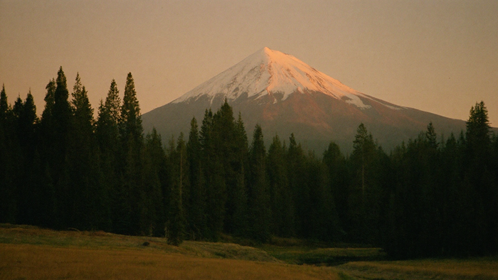 A snow-capped volcanic peak above dark conifer forest at dusk, meadow below