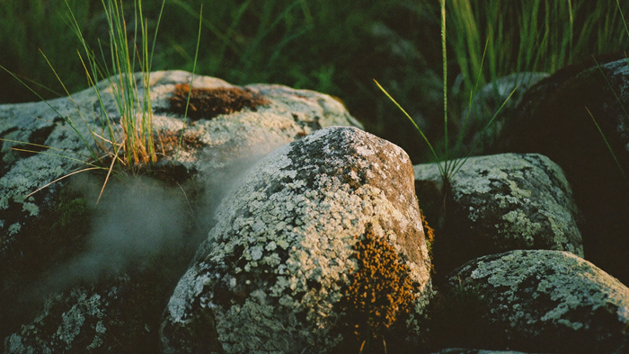 Weathered granite boulders covered in pale map lichen with fog drifting between them at dawn