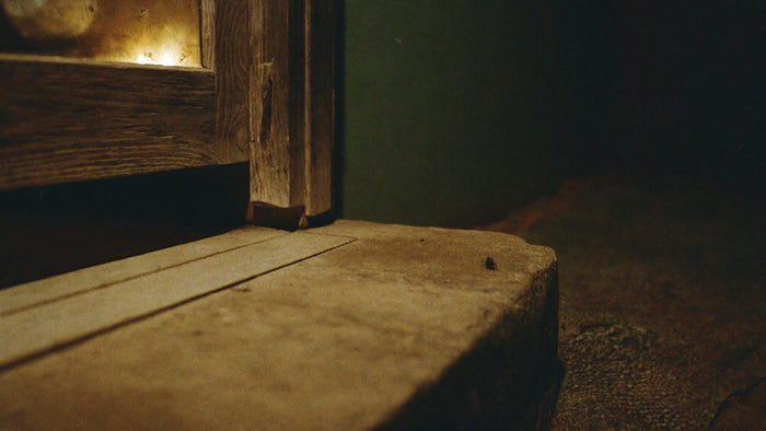 Small dark cricket on a worn stone doorstep at night lit warmly from an open doorway