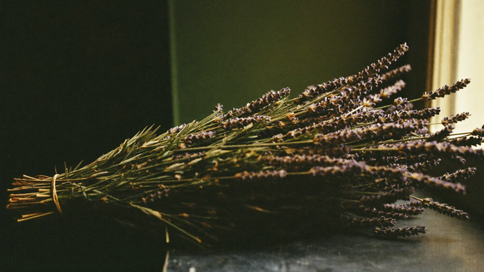 Bundle of dried lavender tied with twine, lying on a dark stone windowsill in soft late daylight