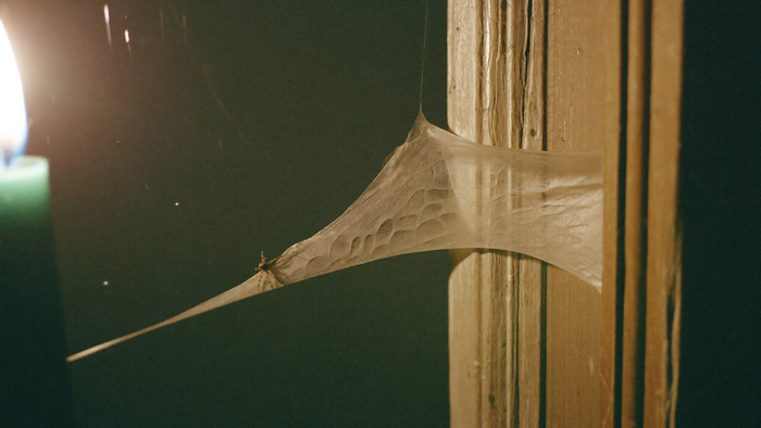 Small house spider resting at the edge of a sheet web spun into the corner of an old wooden window frame