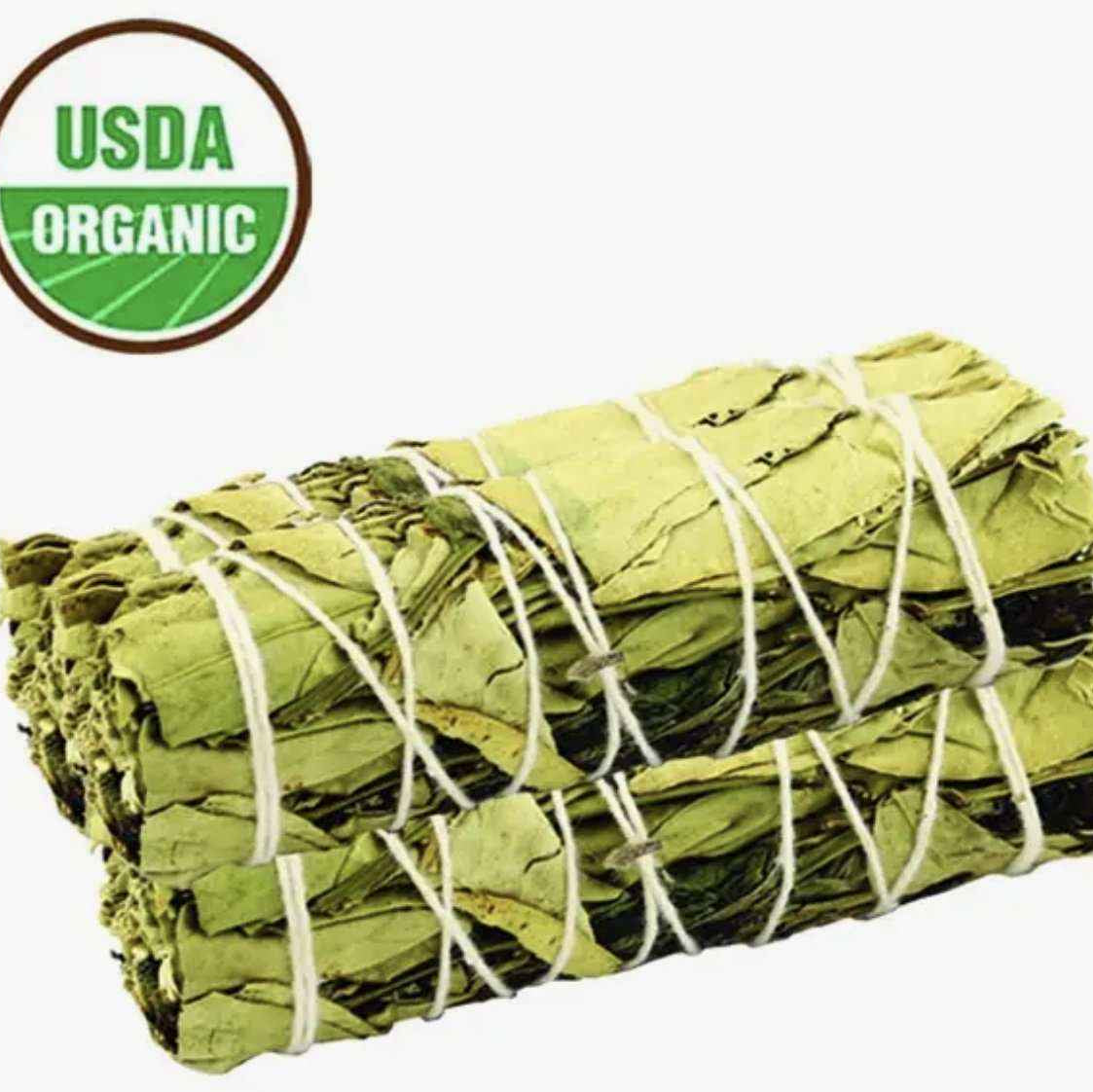Four-inch herbal smudge bundle of dried lemon balm and peppermint tied with cotton string