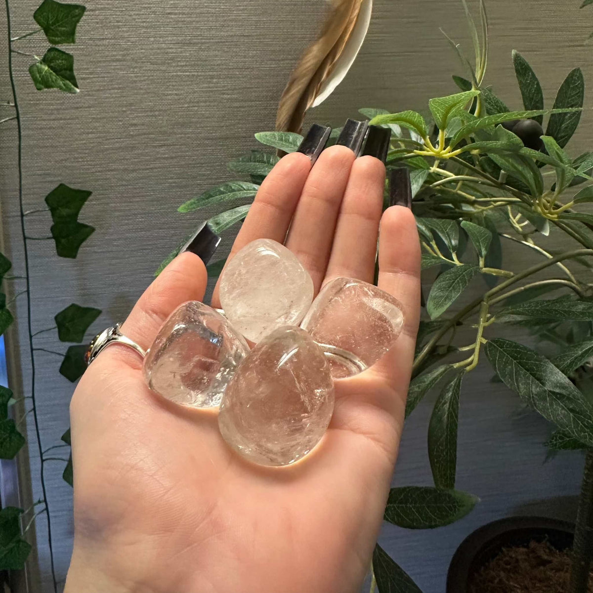 Two clear quartz tumbled stones resting in an open hand outdoors, green foliage behind
