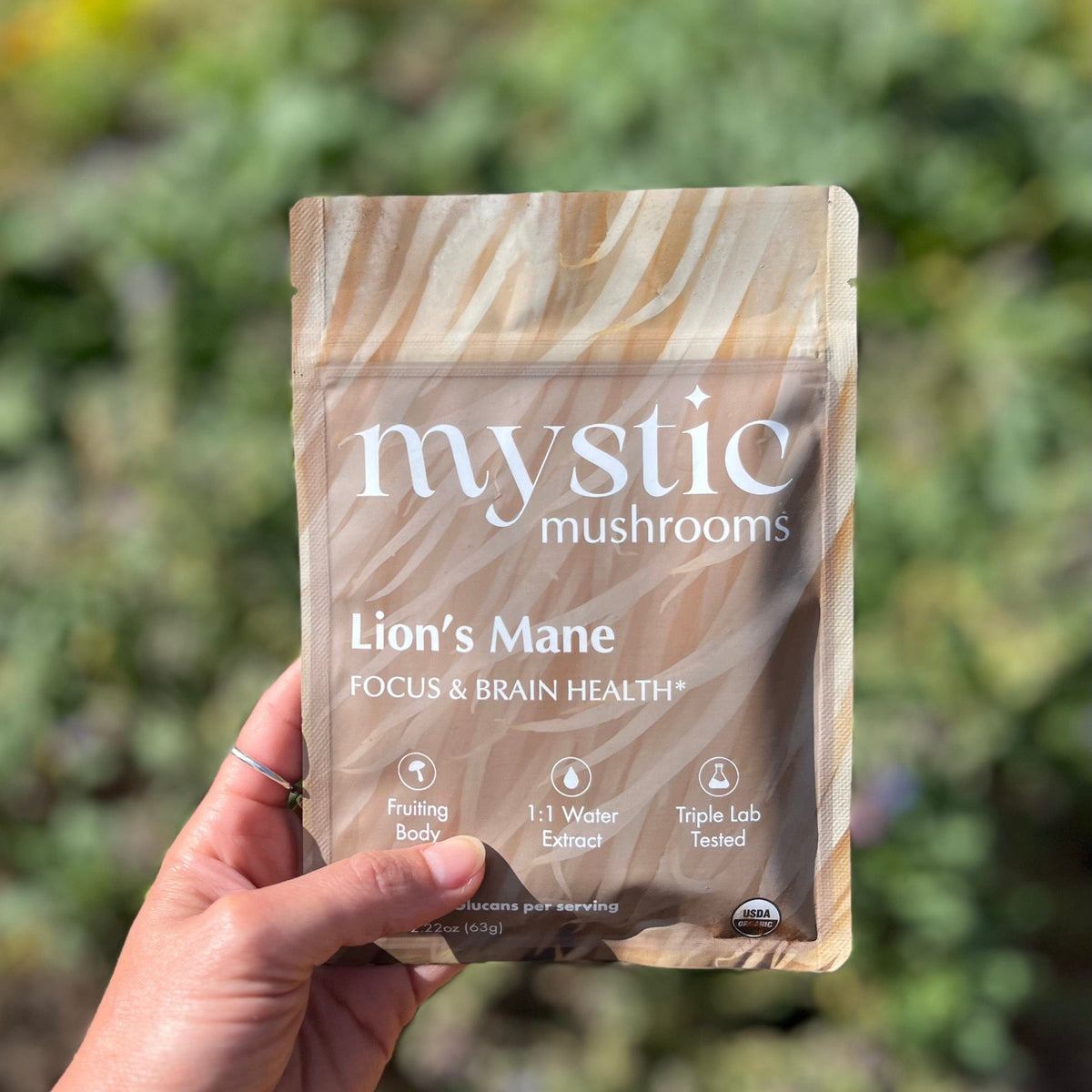 A hand holds the Mystic Mushrooms Lion's Mane pouch up against blurred greenery; the front reads Focus & Brain Health and carries fruiting body, 1:1 water extract and triple lab tested icons.