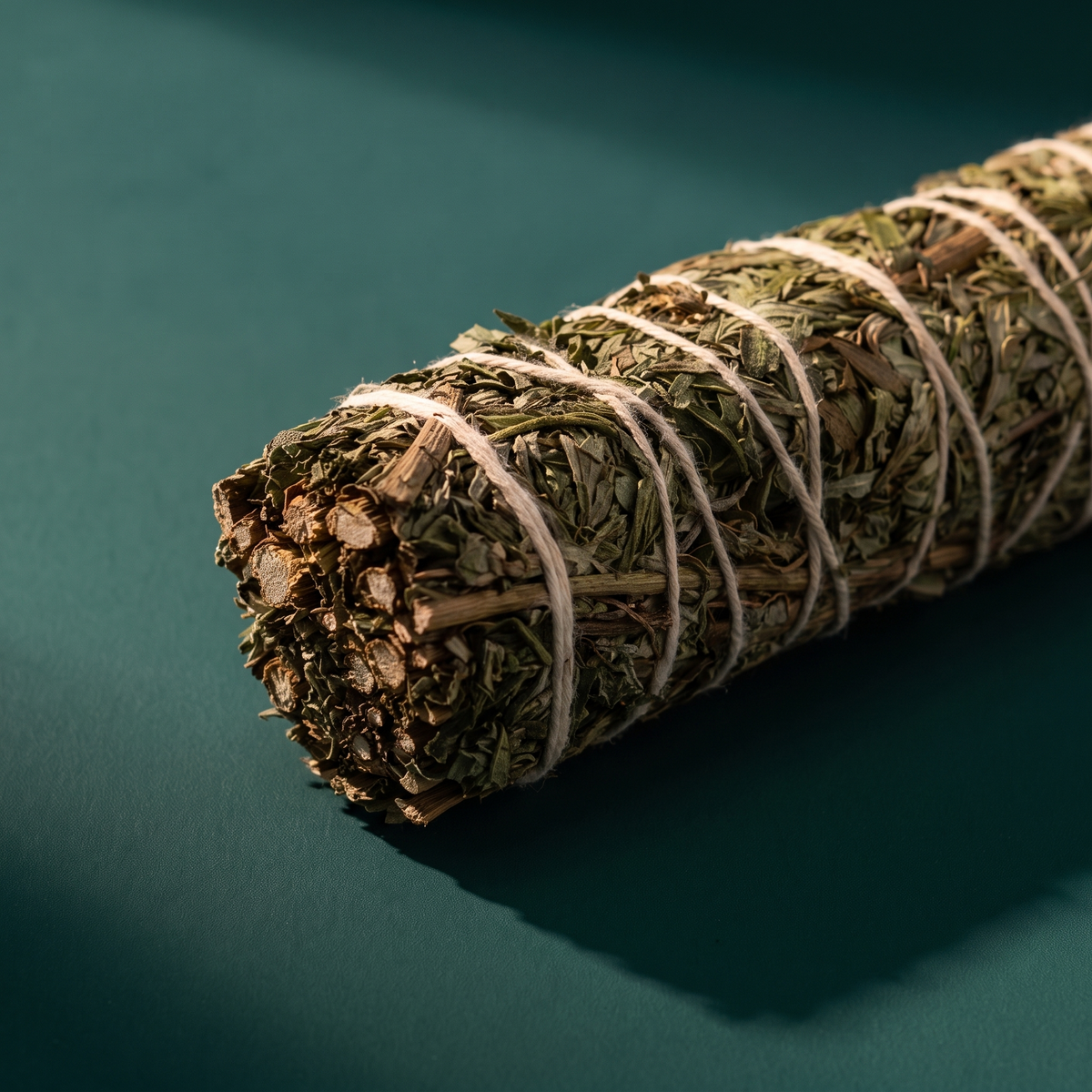 Mugwort Smudge Stick (4 in.) — Protection & Dream Work – botanical detail