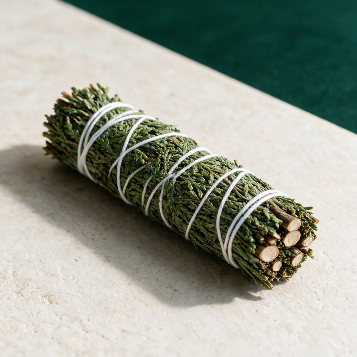 Cedar Smudge Stick — Fresh Grounding Cleansing Bundle (4 in.) – botanical detail