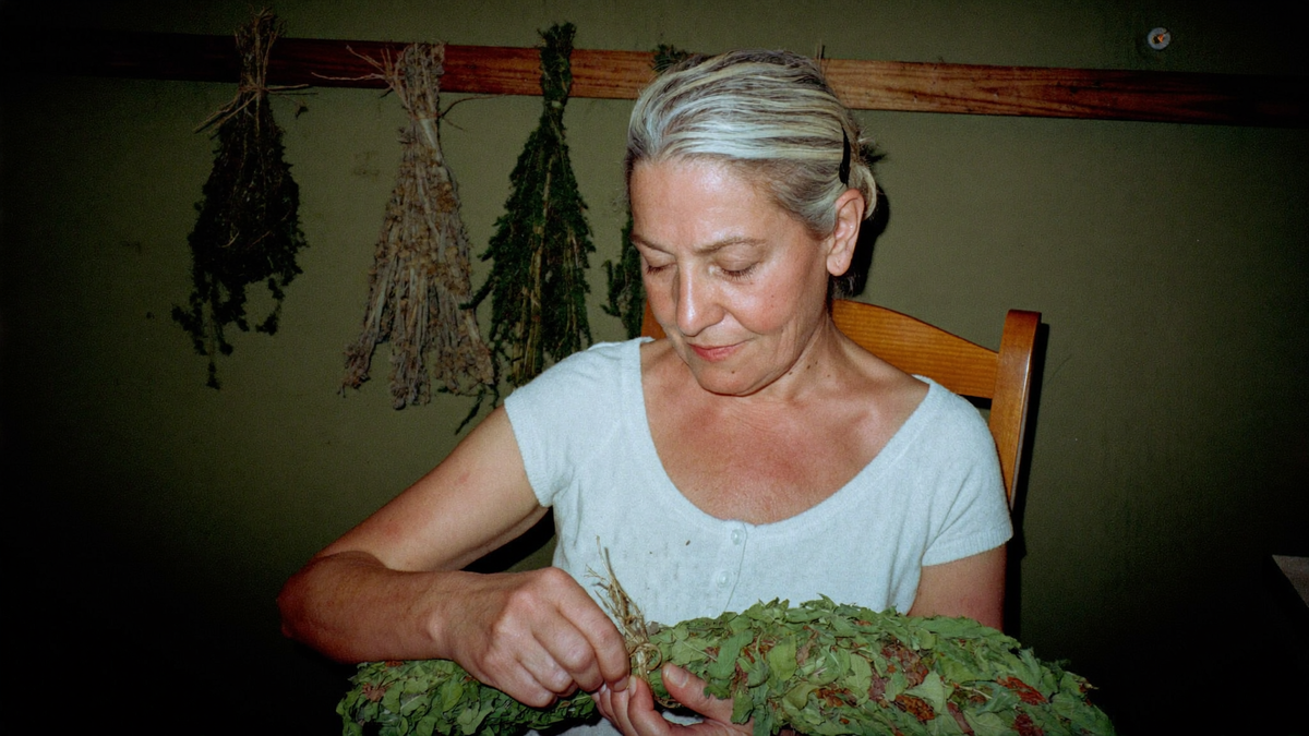 Older woman tying a bundle of dried mountain herbs, more bundles hanging behind her