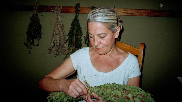 Older woman tying a bundle of dried mountain herbs, more bundles hanging behind her