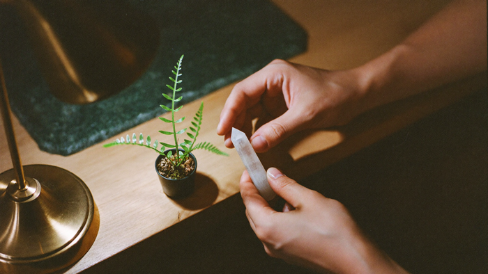 Hands placing a small white selenite stick beside a potted fern on a wooden desk lit by a brass desk lamp