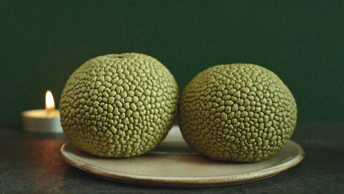 Two green hedge apples, the bumpy fruit of the Osage orange tree, on a ceramic dish beside a lit candle