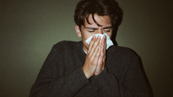 Young man in a dark sweater sneezing into a white tissue with his eyes shut against a dark green wall