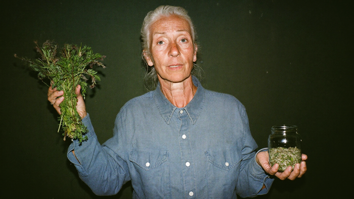 Older Ozark woman in a denim shirt holding a bundle of fresh wild herbs and a jar of seeds
