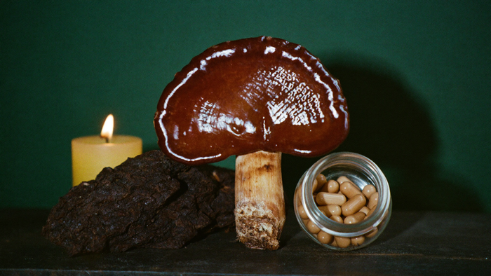 Glossy reishi mushroom, a piece of chaga and a glass jar of mushroom capsules by candlelight against a dark green wall