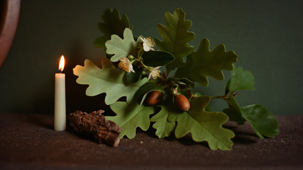 An oak branch with green leaves and acorns beside a piece of bark and a slim lit candle