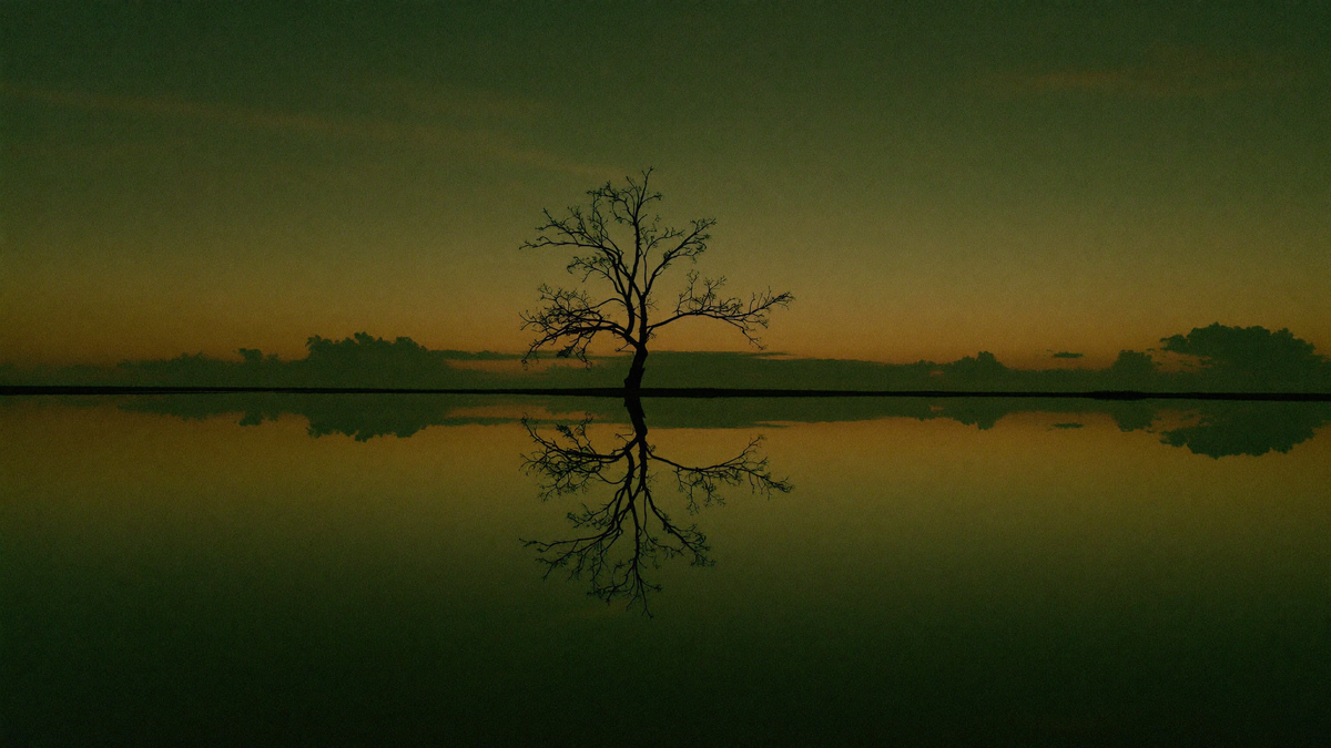 Bare tree at the edge of perfectly still water at dusk, its shape mirrored exactly in the surface below the horizon