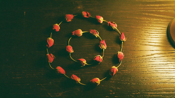 Dried rose buds laid out in a slow spiral on dark oak, lit warmly from the right by a single lamp