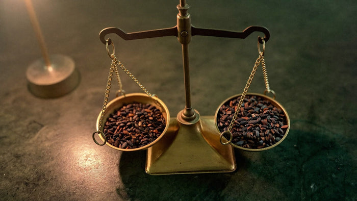A small brass balance scale with two pans holding equal amounts of dark seeds, the beam resting level in warm light