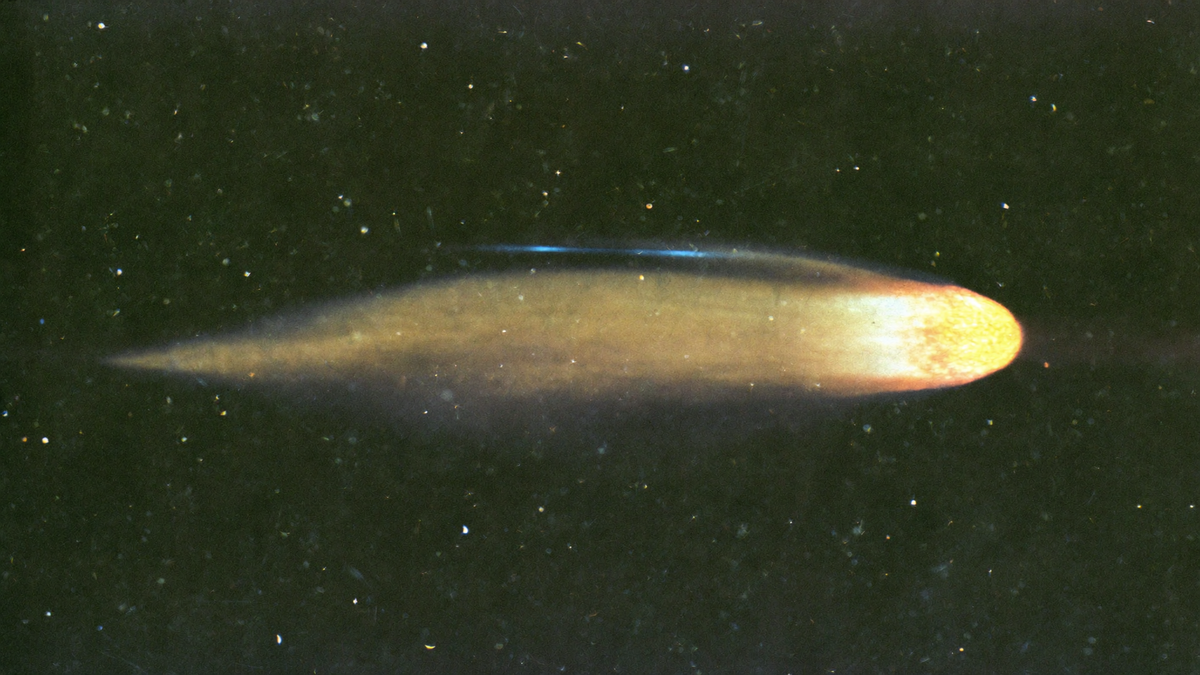 A comet with a glowing golden head, a long dust tail and a thin blue gas tail streaking across a star-filled sky
