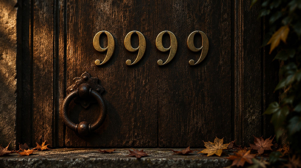 Four brass numerals reading 9999 on a weathered oak door with an iron knocker and autumn leaves on the step at dusk