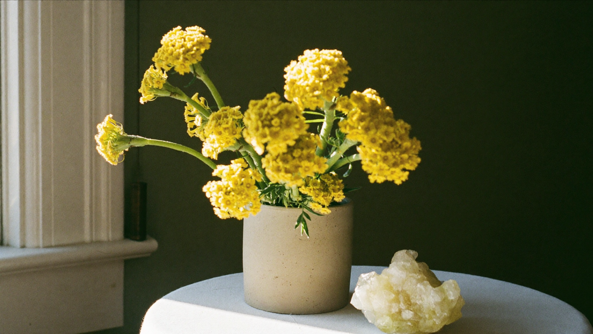 Yellow wildflowers in a plain stoneware cup beside a rough citrine crystal, morning light, dark green wall