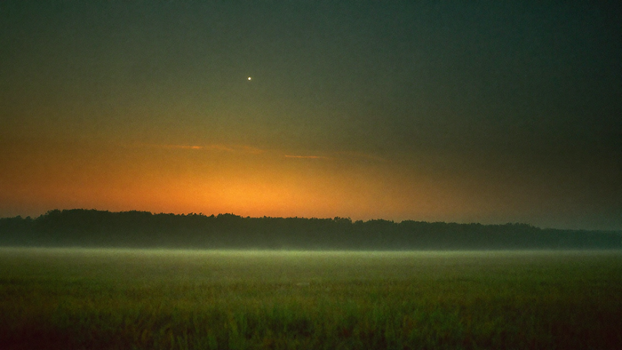 The eastern horizon at first light with one bright point of starlight above a dark treeline