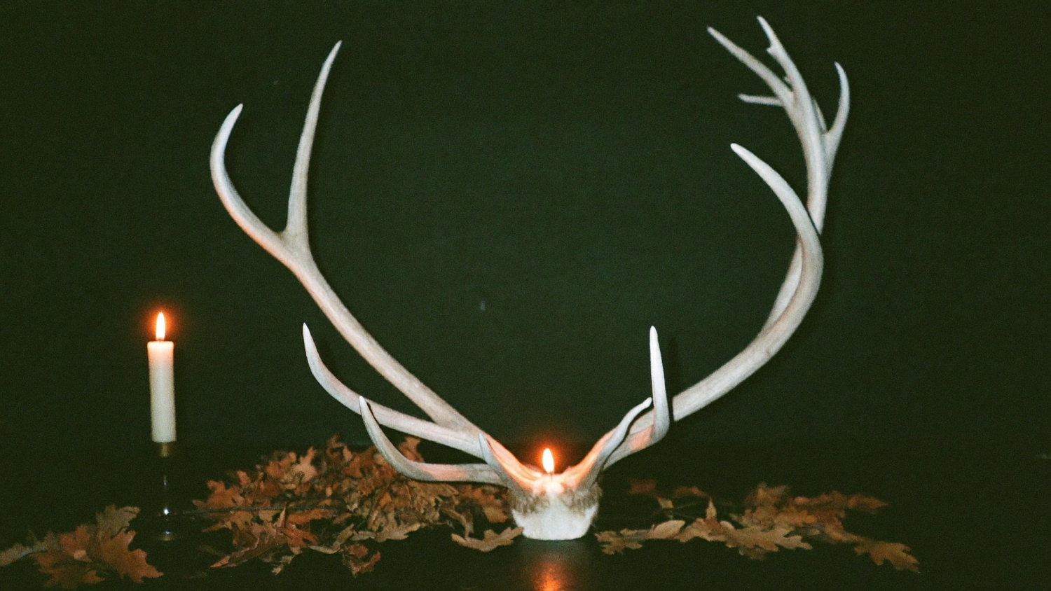 Shed deer antlers on dark stone with dry oak leaves and a burning candle behind them
