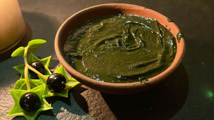 Shallow clay bowl of dark green herbal ointment on slate, beside a nightshade sprig with glossy black berries