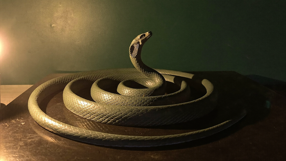 Cast bronze serpent coiled in flat rings on dark stone, head raised at the centre, lit by one candle