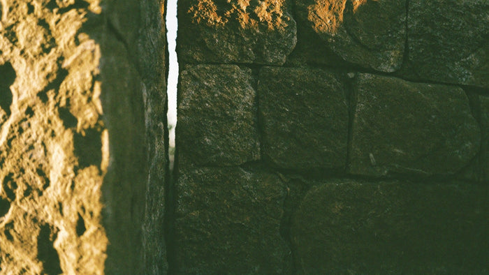 Morning sun on a narrow crack in an old stone wall, the kind of hiding place a lizard returns to the light from