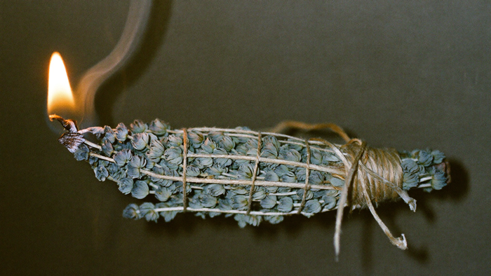 Bundle of dried mugwort and white sage bound with twine, lit and releasing a thin smoke