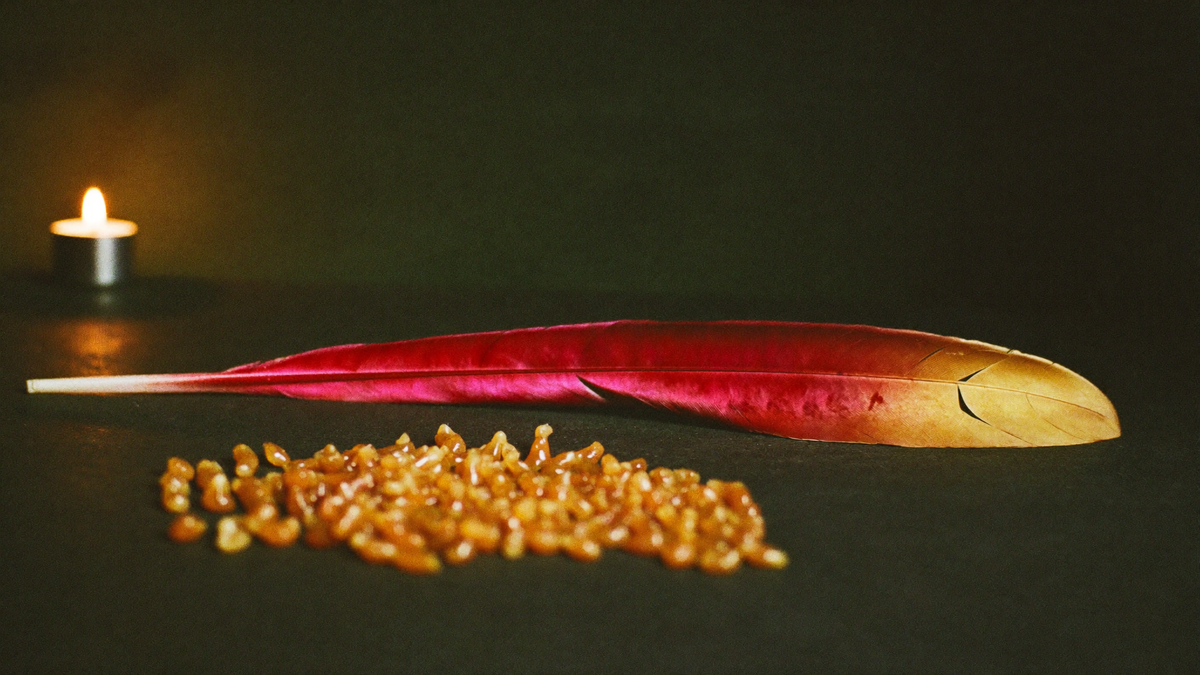 A crimson and gold feather lies beside amber myrrh resin tears on dark stone in candlelight
