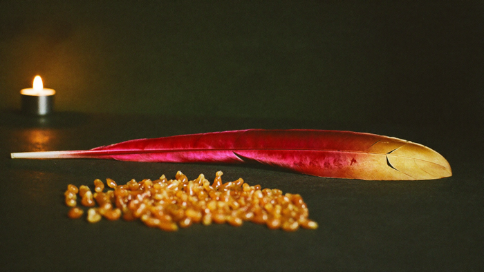 A crimson and gold feather lies beside amber myrrh resin tears on dark stone in candlelight