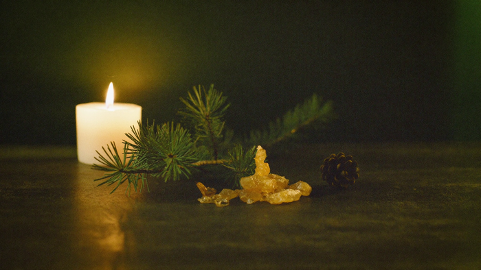 Golden pine and spruce resin tears beside a pine branch and a cone on dark stone, a lit candle behind