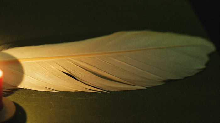 A single long white wing feather resting on dark green linen, lit warmly from the left by a nearby candle flame