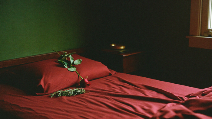 A bedroom with rumpled crimson sheets, a single red rose and a sprig of rosemary on the pillow in soft light