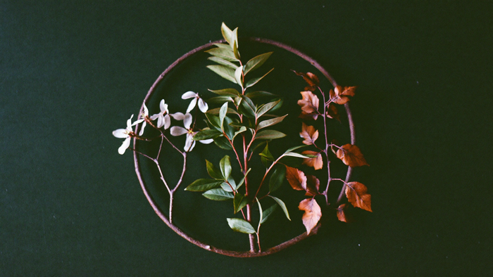 Ring of four seasonal branches on dark linen, a bare twig, white blossom, green summer leaves and amber autumn leaves forming a closed circle