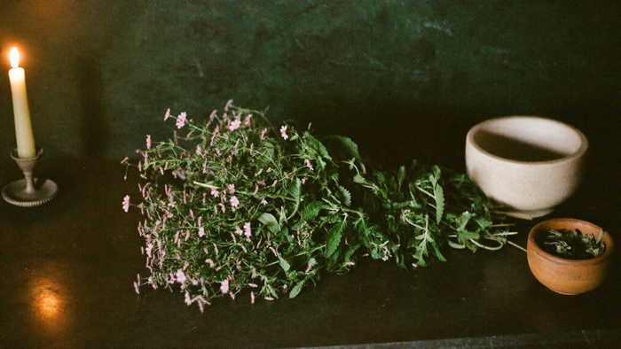 A fresh bundle of vervain with tiny pink flowers beside a stone mortar and a clay bowl in candlelight