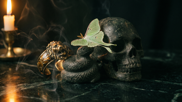 A carved stone skull, a coiled stone serpent, a gold lion-head cuff bracelet and a pale green luna moth on dark green marble in candlelight