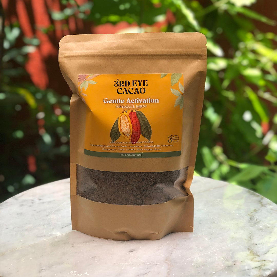 Gentle Activation Elixir — Ceremonial Cacao with Lion's Mane & Ashwagandha