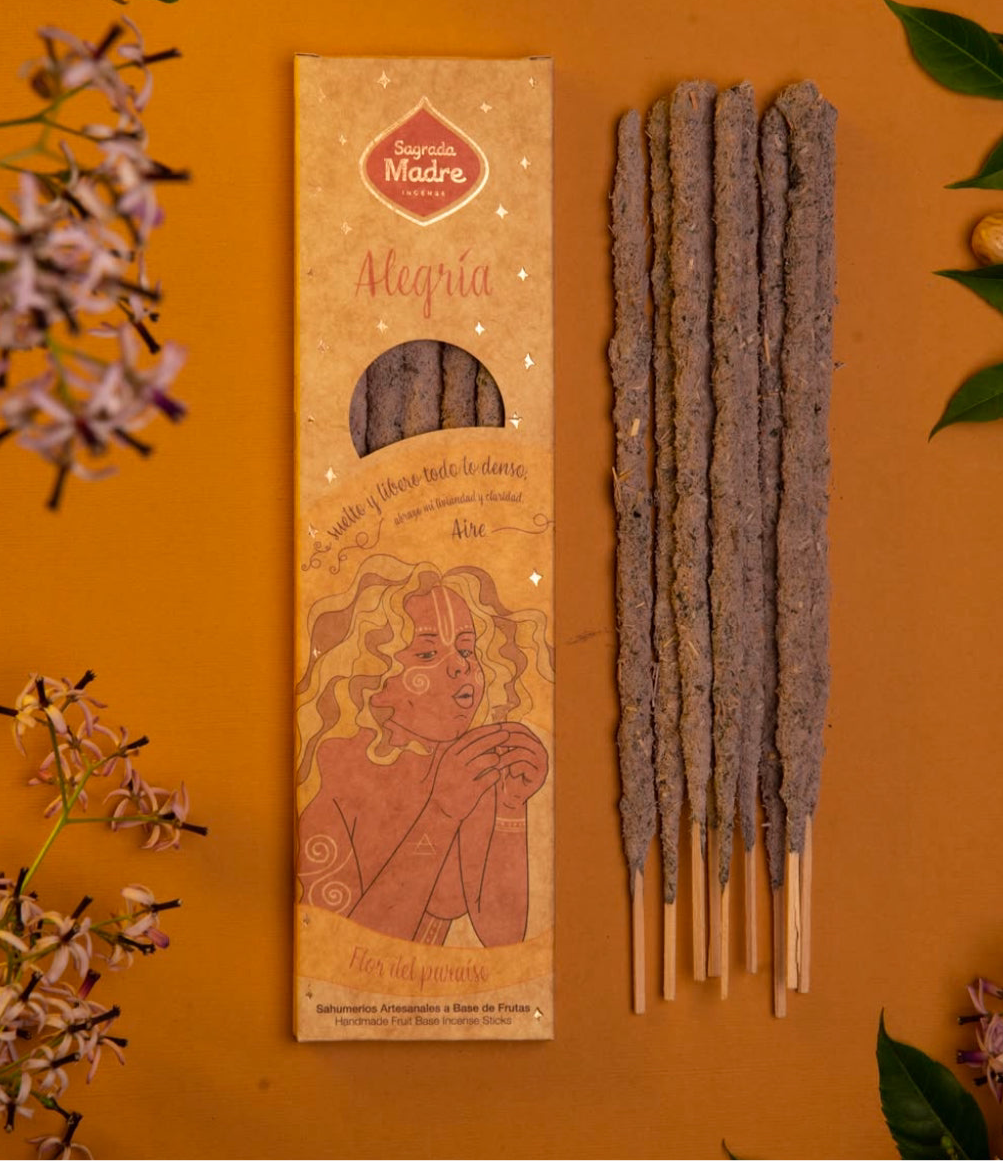 Alegria Joy incense pack with sticks on a warm orange background