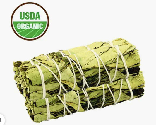 Four-inch herbal smudge bundle of dried lemon balm and peppermint tied with cotton string