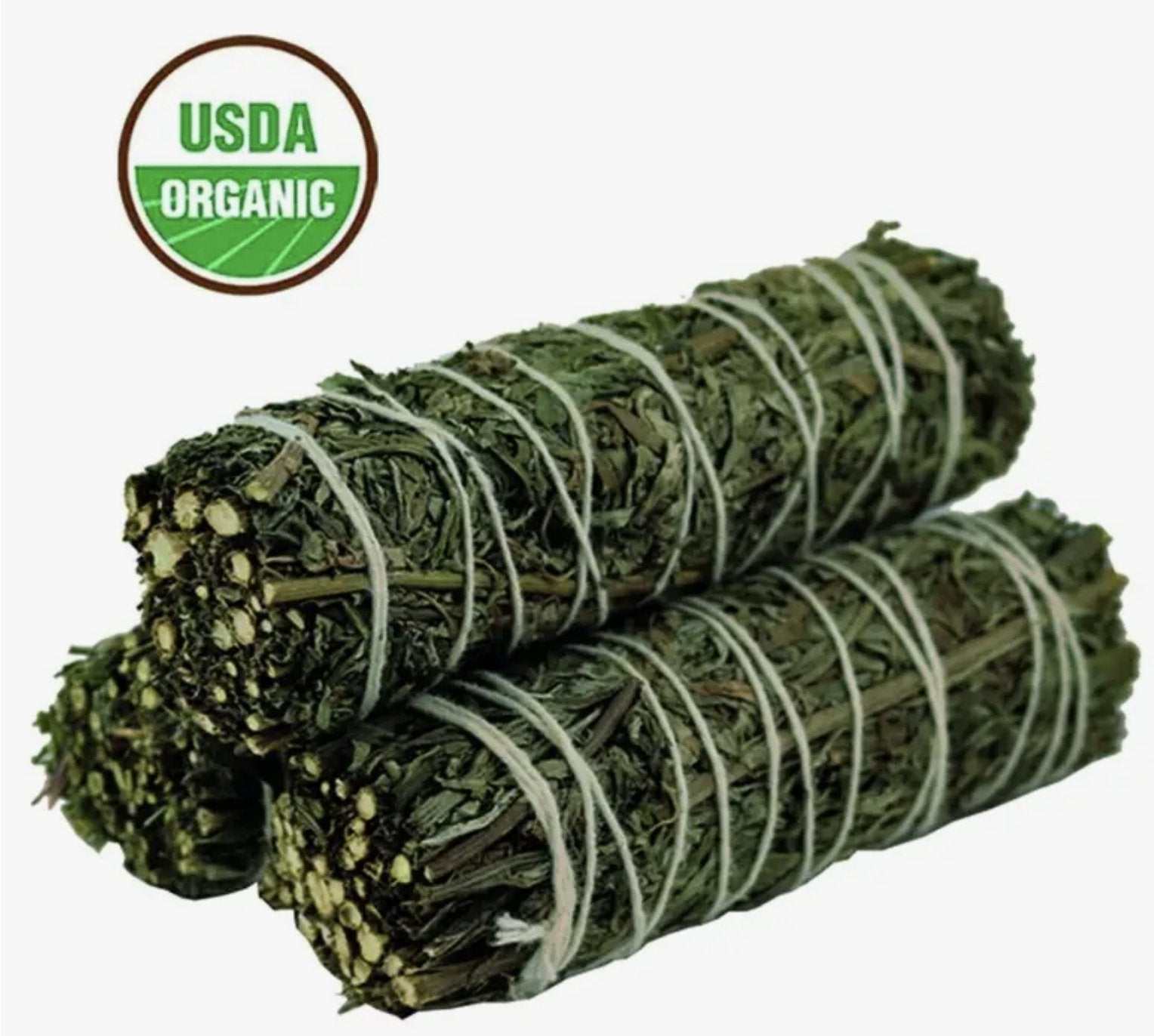 Four-inch bundle of dried mugwort bound as a smudge stick