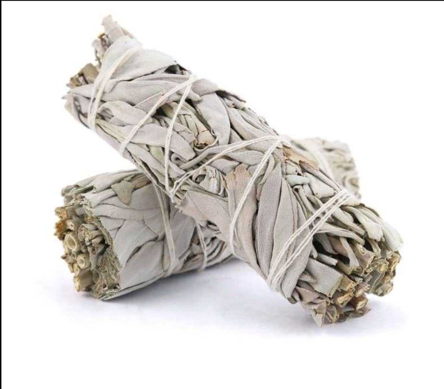 Four-inch bundle of organic white sage bound with cotton thread, detail view