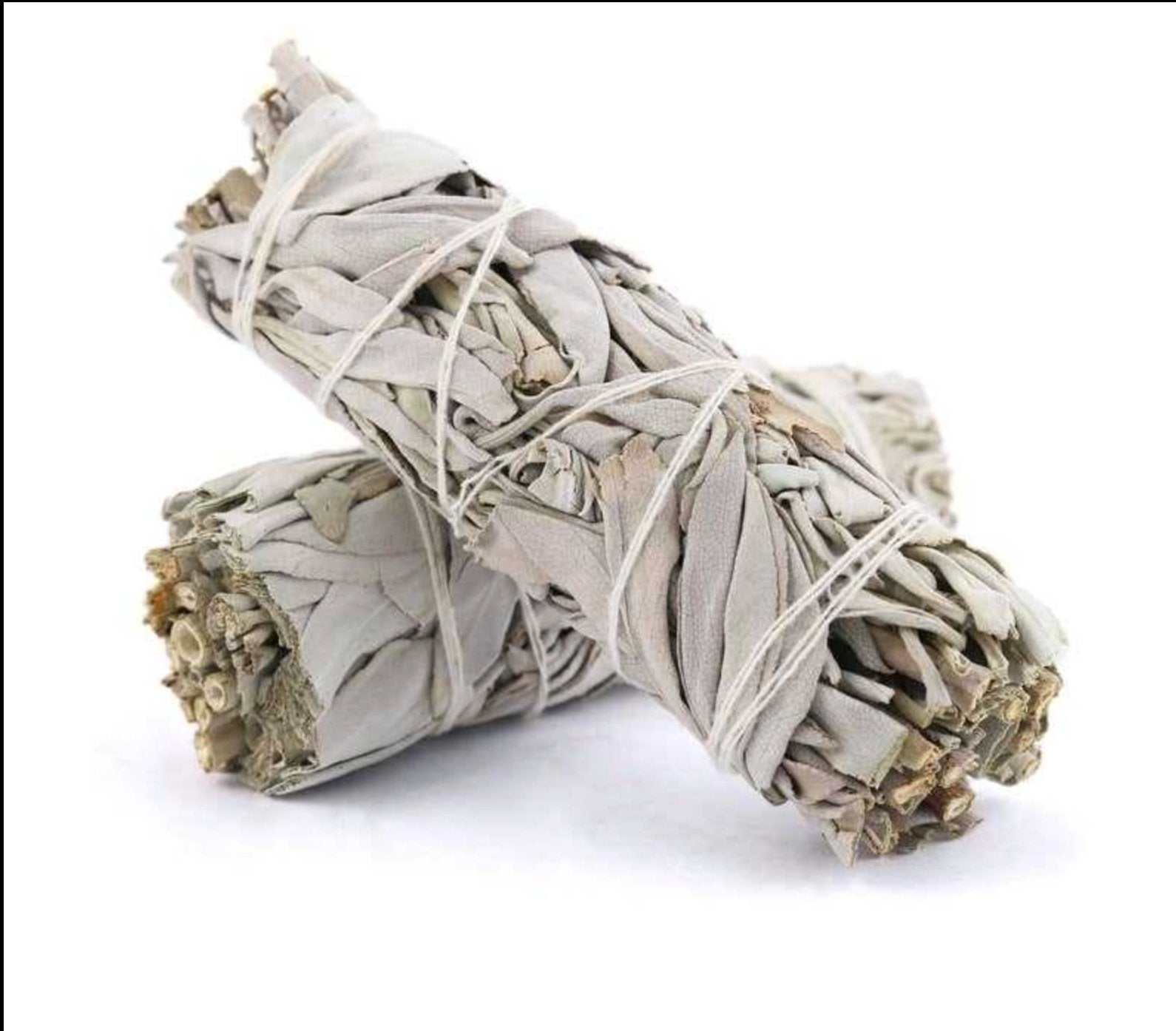 Four-inch bundle of organic white sage bound with cotton thread, detail view