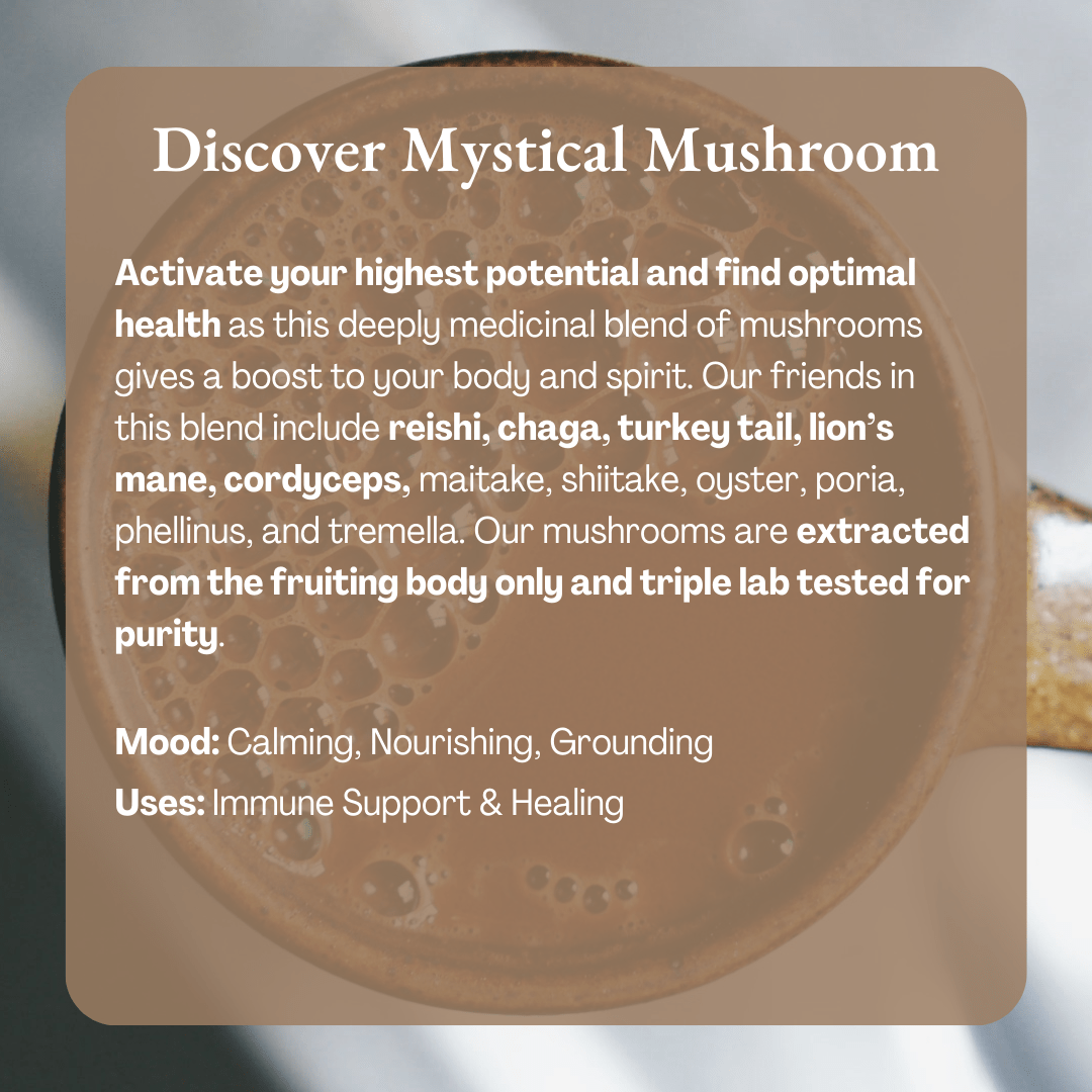 Discover Mystical Mushroom information card describing the origin, mood and suggested use of the cacao over a photo of a filled cup