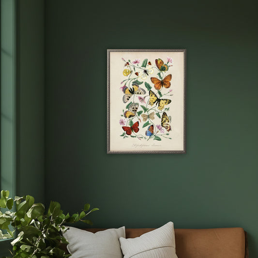 Framed butterfly and flower print hanging on a dark green wall above a sofa
