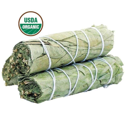 Four-inch eucalyptus and white sage smudge stick bundle from California